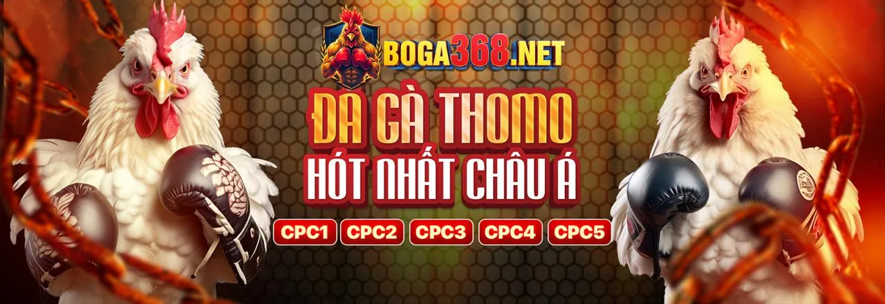 Sân đấu đá gà trực tuyến sôi động tại gacam nhà cái