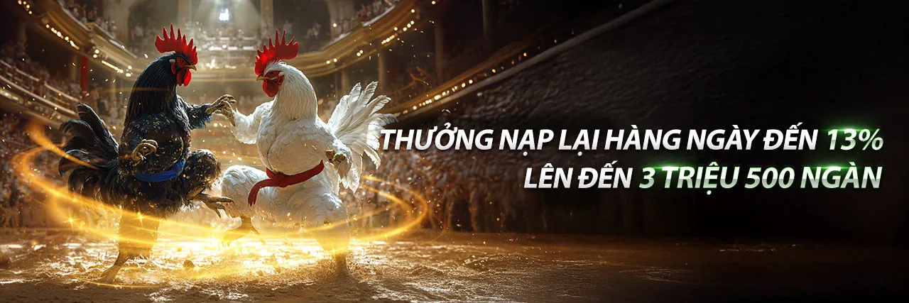 Đá gà trực tuyến kịch tính tại gacam nhà cái